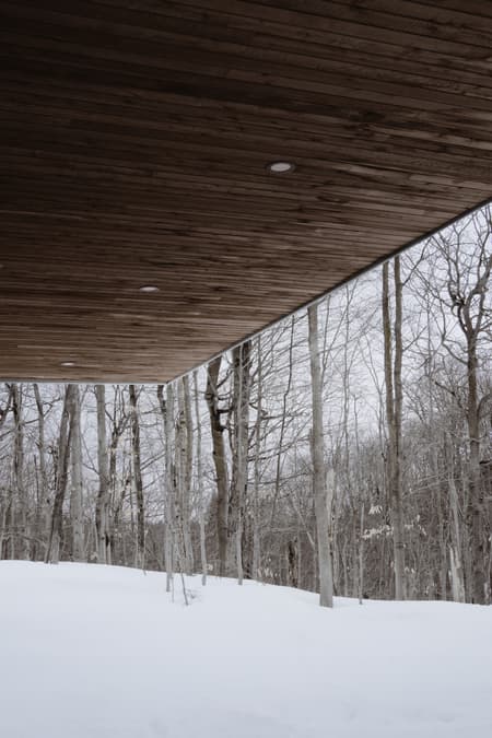 House MN